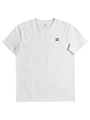 Billabong Men's Small Wave T-Shirt