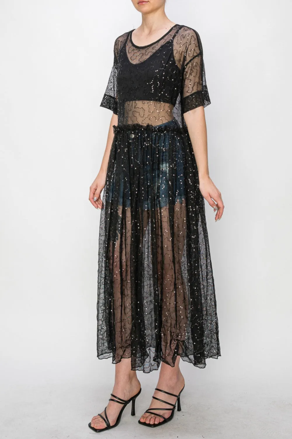 Black Sequin Sheer Dress