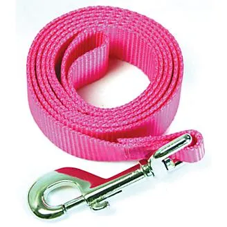 Dog Leash