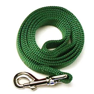 Dog Leash