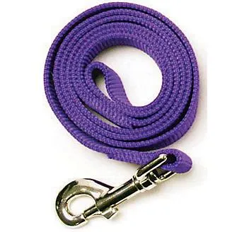Dog Leash