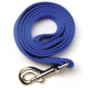 Dog Leash