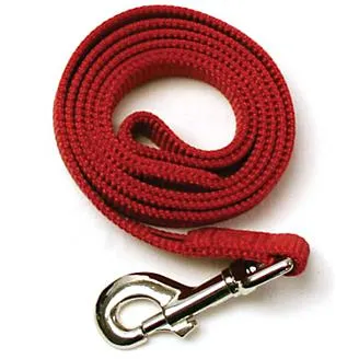 Dog Leash