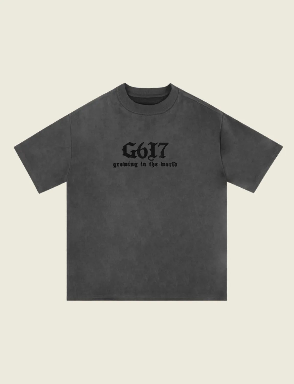 FSW® Washed G617 T-Shirt