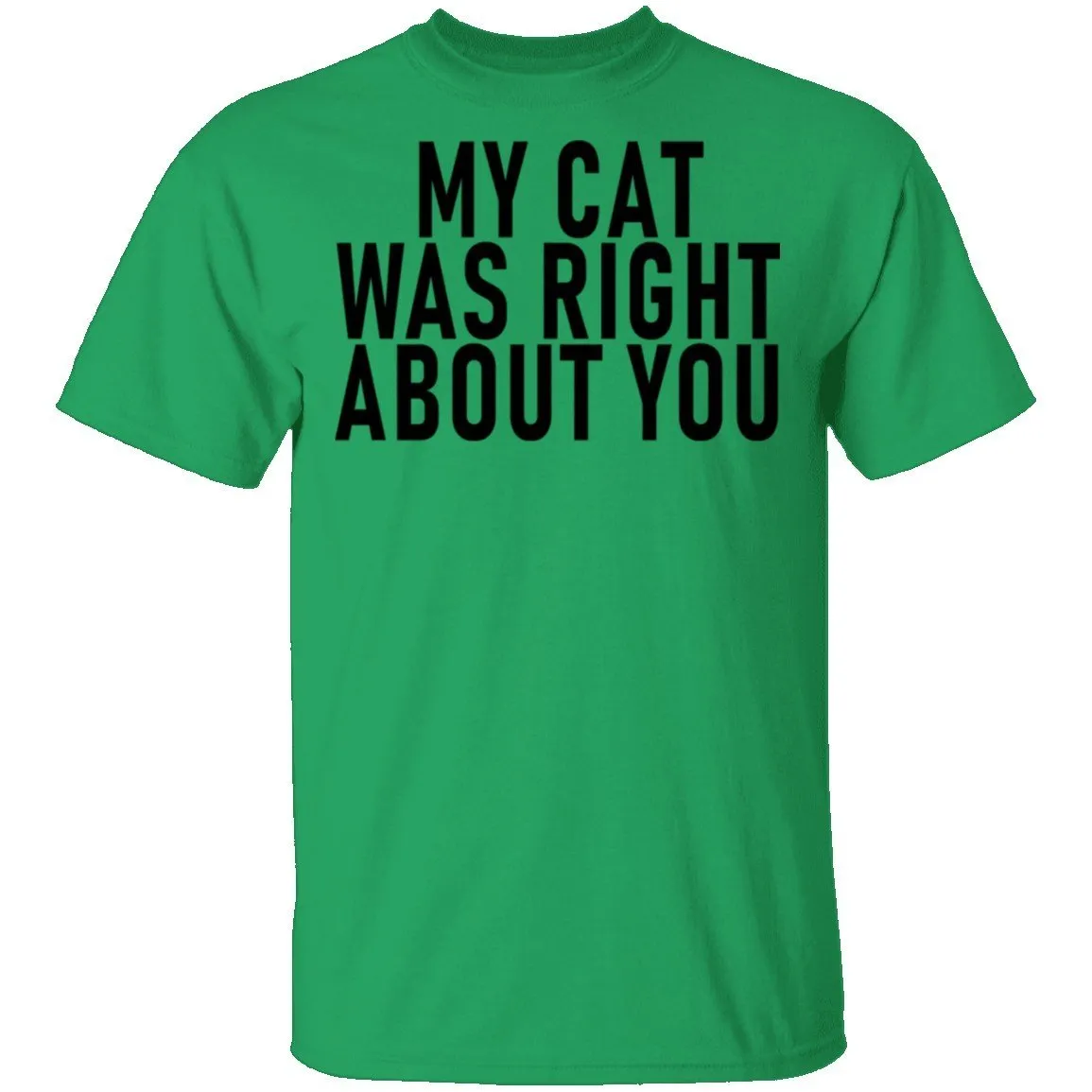 My Cat Was Right About You T-Shirt
