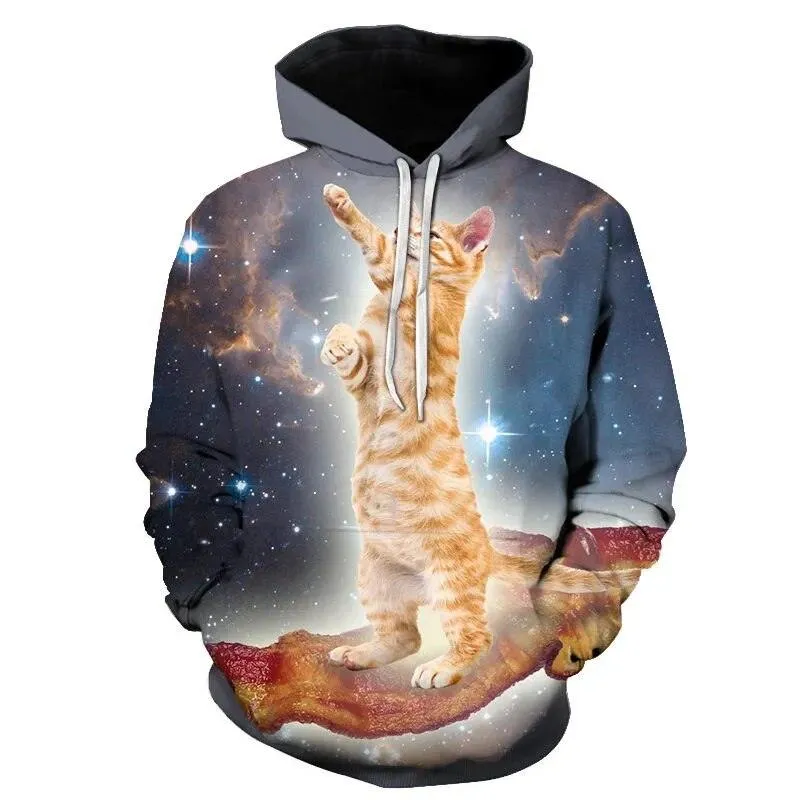 Two Cat Sweatshirts Long Sleeve 3D Hoodies Sweatshirt Pullover
