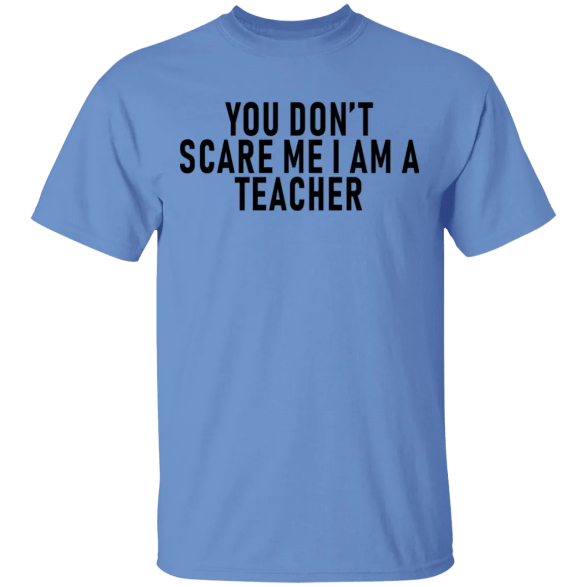 You Don't Scare Me I'm A Teacher T-Shirt
