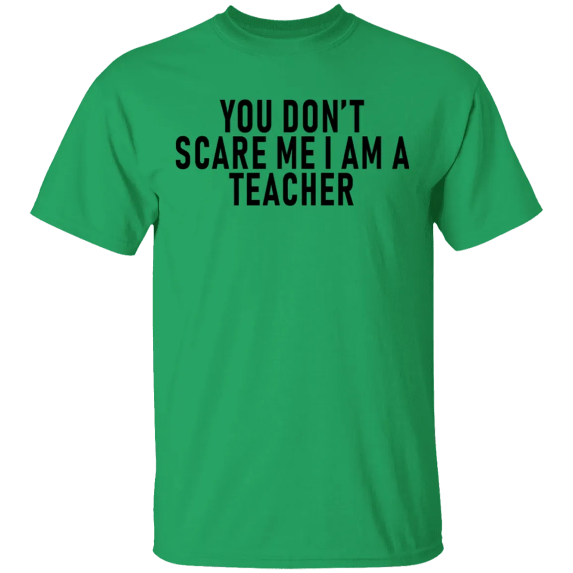 You Don't Scare Me I'm A Teacher T-Shirt