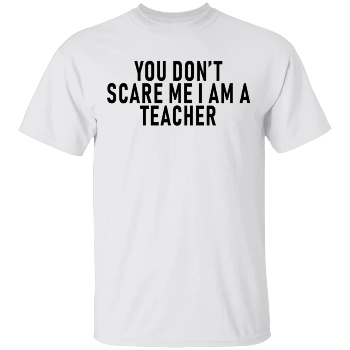 You Don't Scare Me I'm A Teacher T-Shirt
